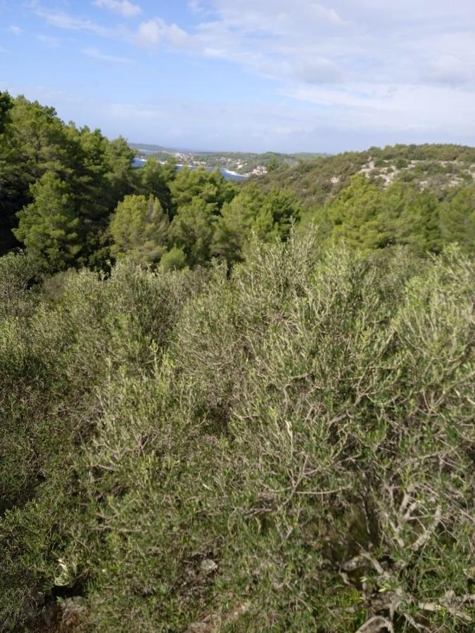 Svema Apartman Vela Luka Exterior foto